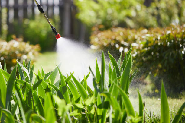 24/7 Emergency Wasp Removal experts in Hutchins, TX
