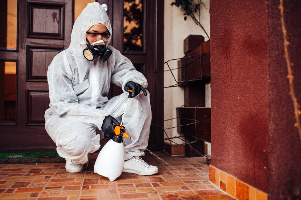Reliable Wasp Removal contractor in Hutchins, TX by Show Me Pest Control